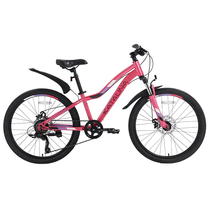  Велосипед TechTeam Katalina 24" (2024) розовый по низким ценам в Томске и Северске