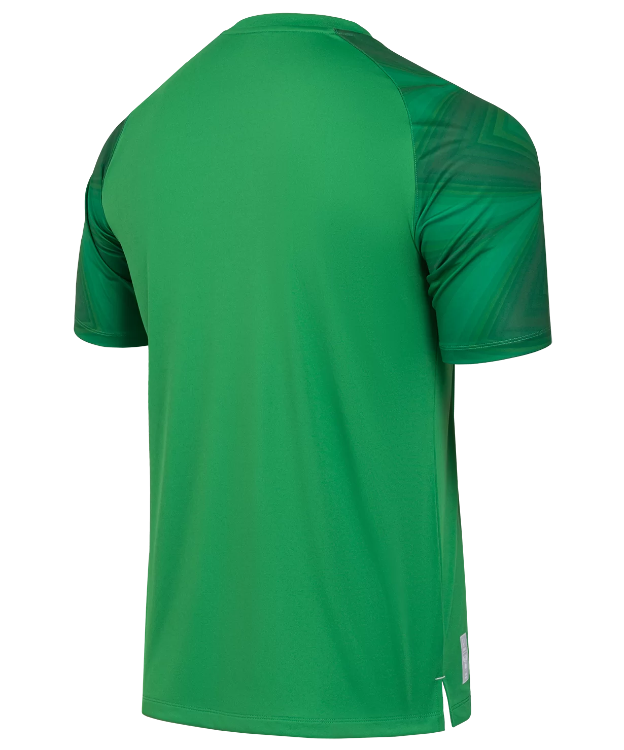  Футболка вратарская JOGEL NATIONAL PerFormDRY GK Jersey, зеленый по низким ценам в Томске и Северске