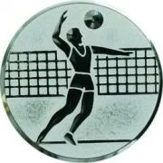 Фото Вставка для медалей D1 A6 25 мм волейбол со склада магазина СпортСЕ