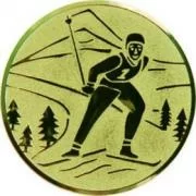 Вставка для медалей D1 A94 (нов) 25 мм лыжи