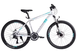 Велосипед TechTeam Sprint 26" белый (зелёный)