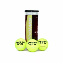 Мяч для тенниса Swidon 919 (3 штуки в тубе) 919