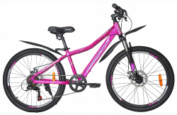 Велосипед 24" Nameless J4100DW, фиолетовый/серый, 13"